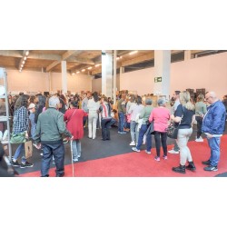 Feira da Louça 2023 bate recorde de público, com mais de 120 mil visitantes